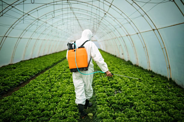 Best Pest Removal Services  in Abbeville, AL
