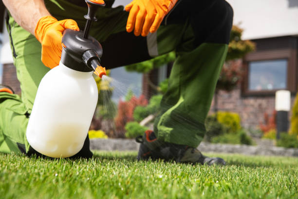 Best Pest Control for Businesses  in Abbeville, AL