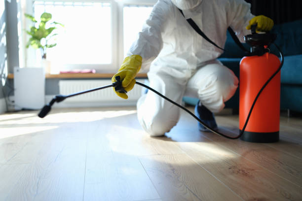 Wasp Removal Services in Abbeville, AL