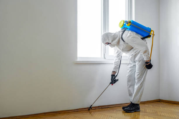 Pest Control for Restaurants in Abbeville, AL