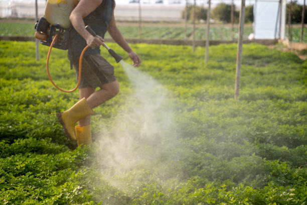 Reliable Abbeville, AL Pest Control Solutions