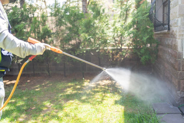 Best Best Pest Control Companies  in Abbeville, AL