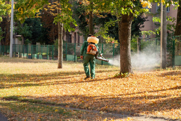 Best Affordable Pest Control Services  in Abbeville, AL