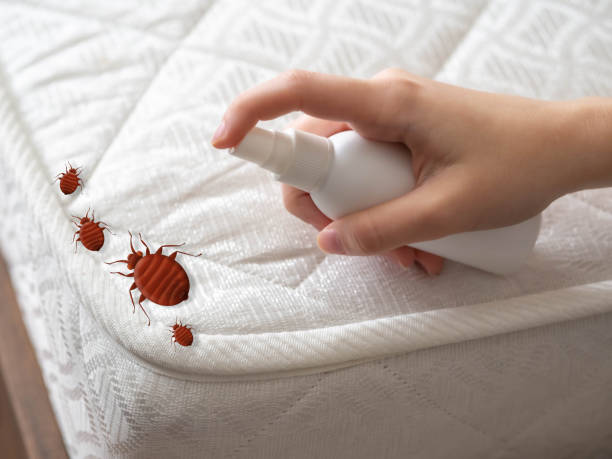 Best Emergency Pest Control  in Abbeville, AL