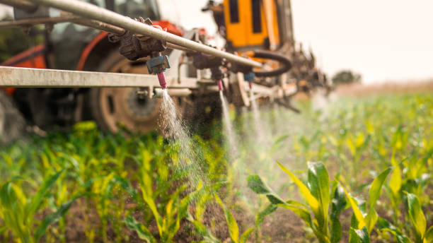 Best Commercial Pest Control Services  in Abbeville, AL