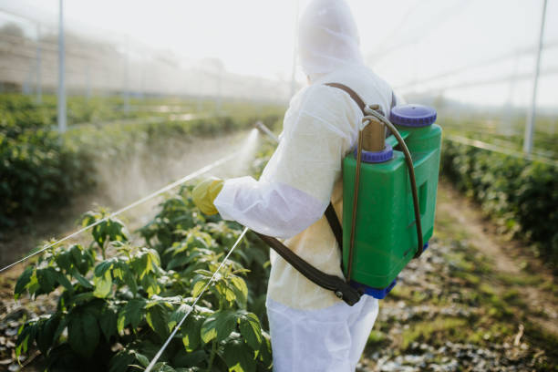 Reliable Abbeville, AL Pest Control Solutions